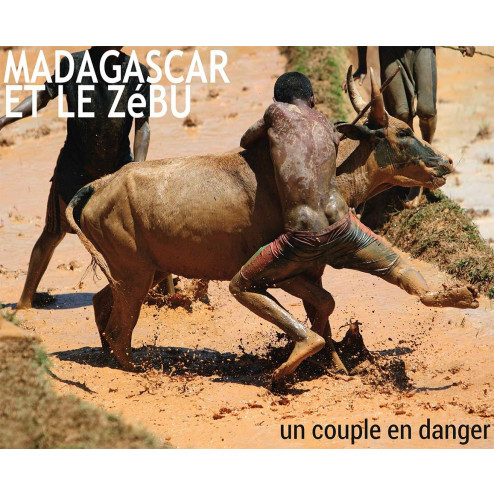 Madgascar et le Zébu, un couple en danger